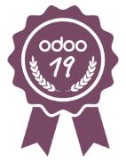 Odoo 19